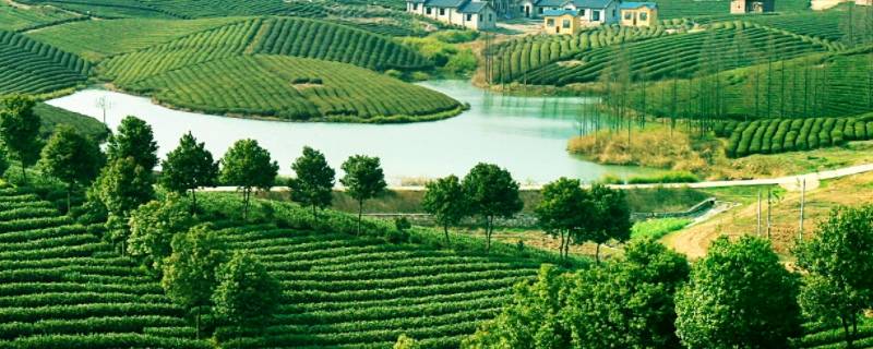 安吉在哪一个省