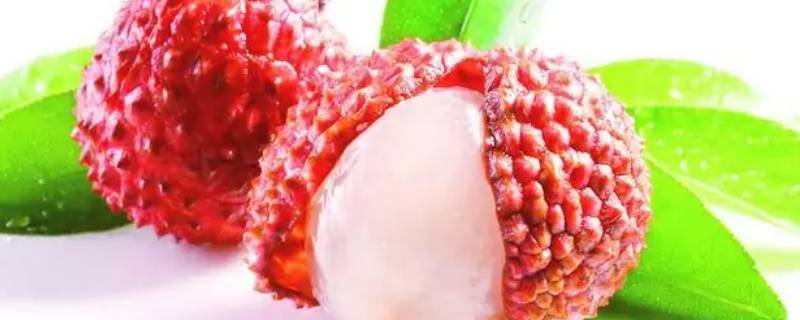 荔枝要怎么保存