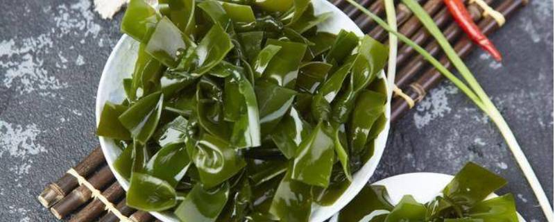 海带运输途中为什么要打结