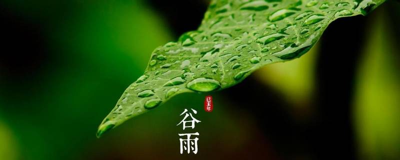 谷雨说说