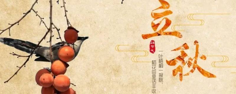 立秋说说