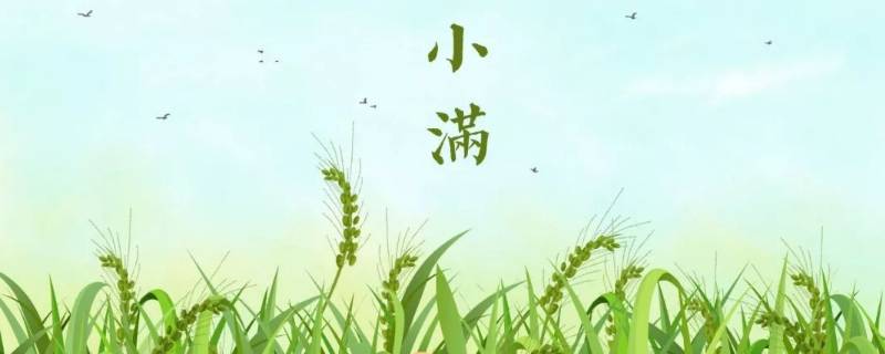 小满说说
