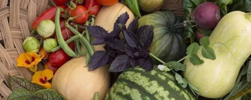 夏天食品储存的方法