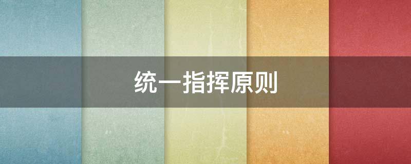 统一指挥原则
