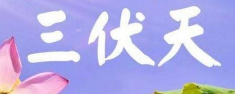 夏天几伏天怎么算