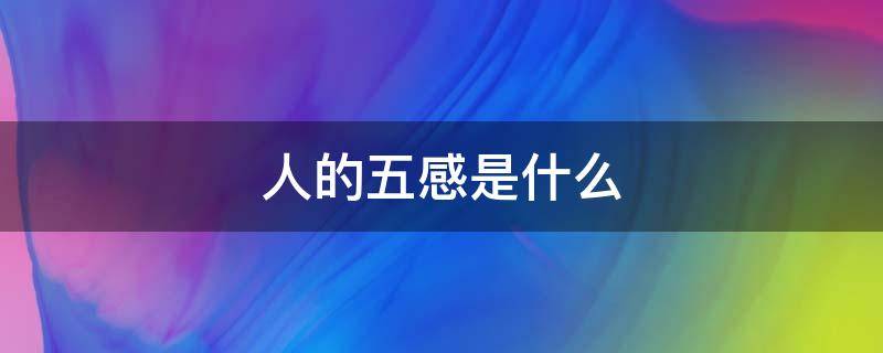 人的五感是什么