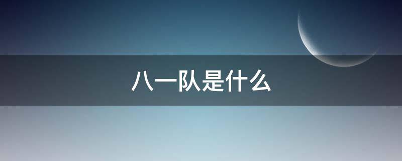八一队是什么