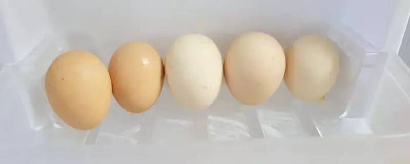 打好的蛋液可以放冰箱保存吗