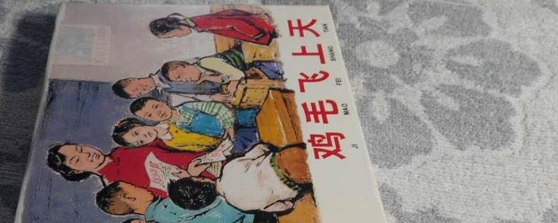 鸡毛飞上天经典语录
