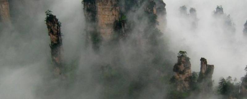 雾是什么态