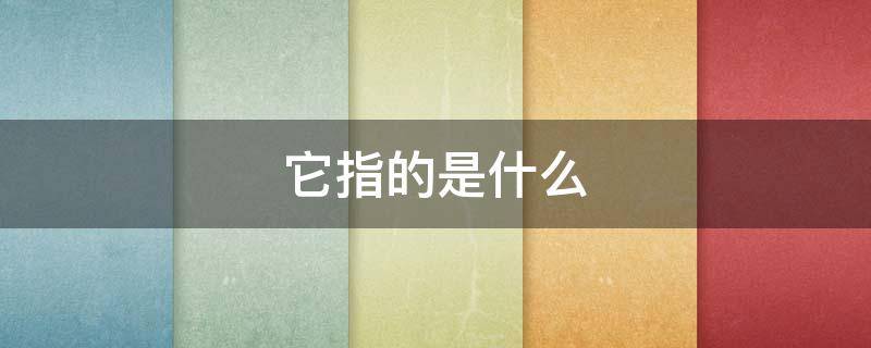 它指的是什么