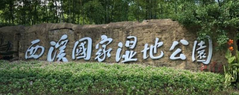 第一个湿地公园是哪里