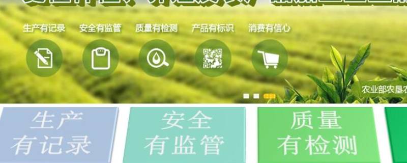 追溯码就是防伪码吗