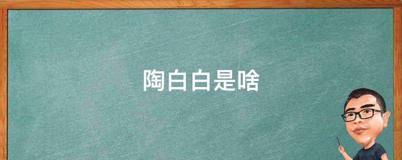 陶白白是啥