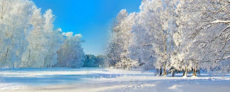 冬天有哪些代表性的景物
