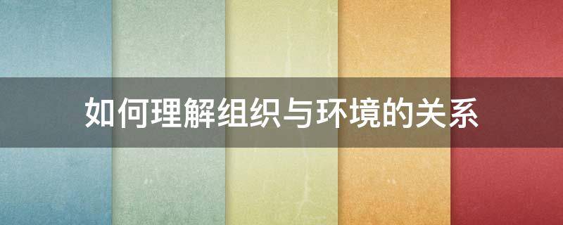 如何理解组织与环境的关系
