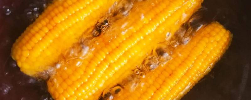 粘玉米煮多久才能好