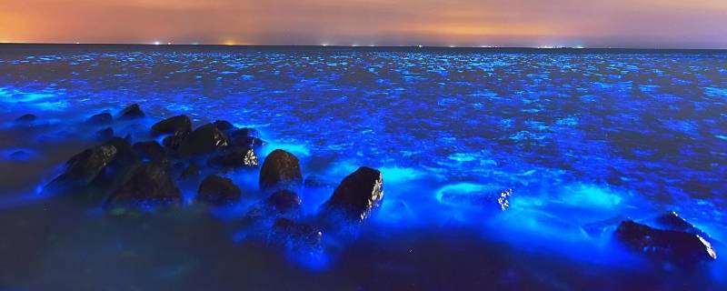 秦皇岛荧光海什么原理