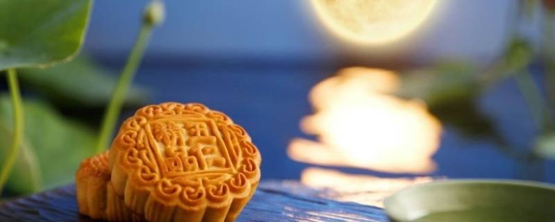 十五的月亮经典语录