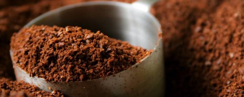 咖啡粉可以直接冲泡吗