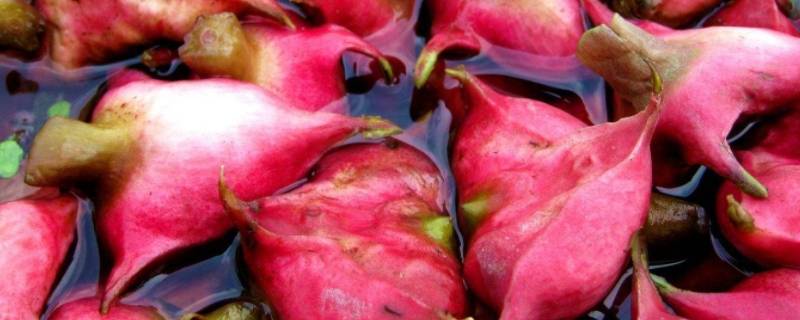 菱角怎样好剥皮