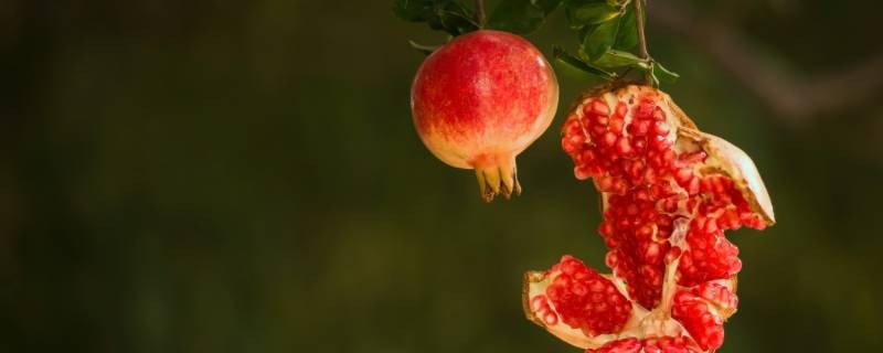 石榴含铁量高吗