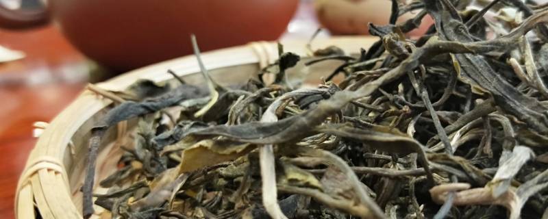 易武茶产地在哪里