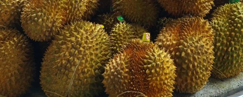 榴莲放冰箱保鲜可以放几天