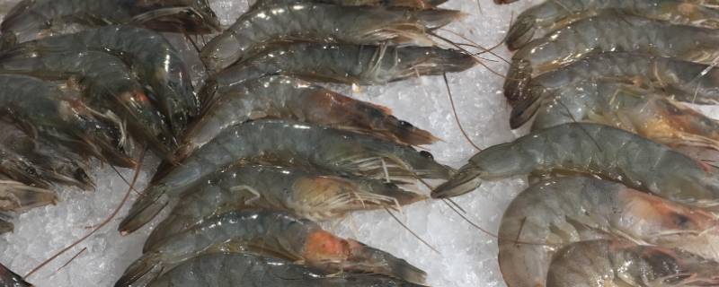 虾怎么保存时间长拿出来新鲜