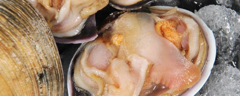 天鹅蛋是什么海鲜