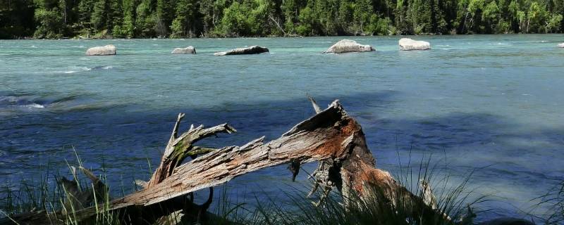 喀纳斯属于哪个州