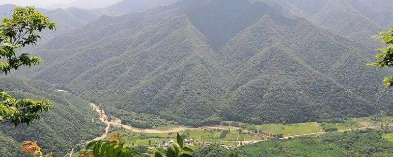 白音山在甘肃天水什么地方