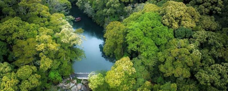 福建森林覆盖率