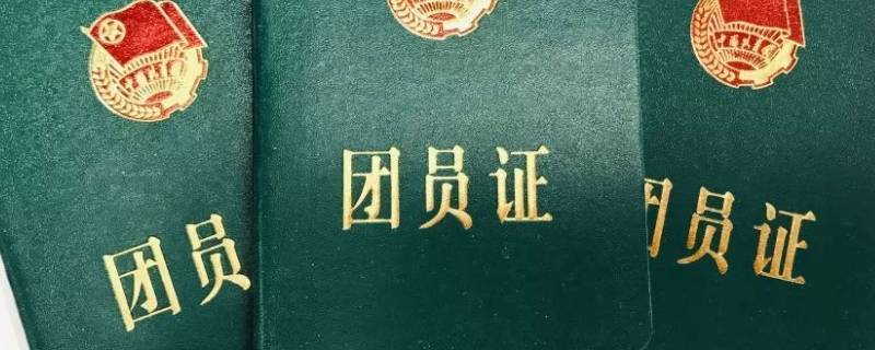 纸质团籍是什么样子