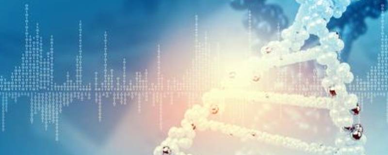 21世纪的成就有哪些