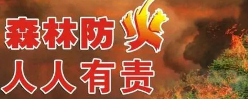 森林防火的重要性
