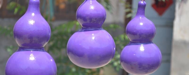 新葫芦怎么处理方法