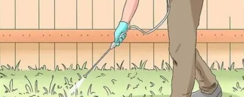除草是什么季节的农活