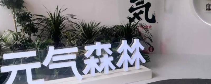 元气森林气泡水是哪个公司生产的