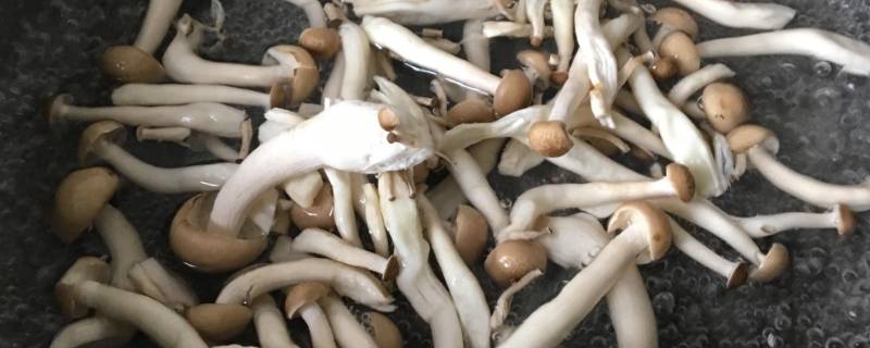 蟹味菇要煮多久才熟