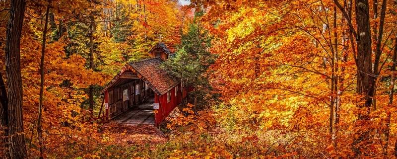 秋天的果实叫秋什么