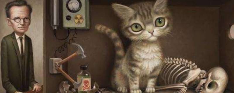 薛定谔的猫网络含义