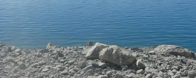 伊犁包含哪些区域