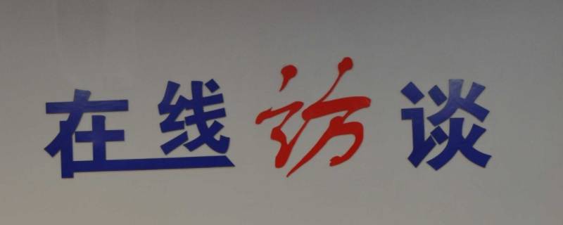 访谈记录是什么