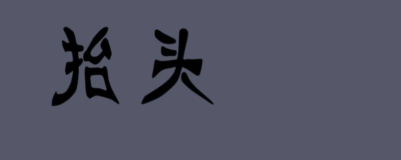 文件抬头是指