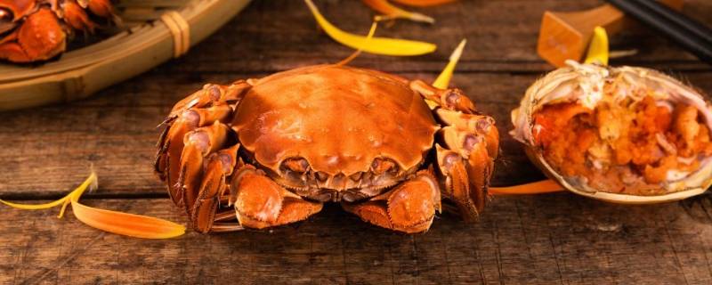 河蟹煮熟冷冻存放多久