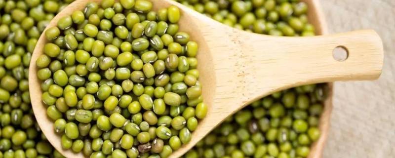 绿豆的形状和颜色是什么
