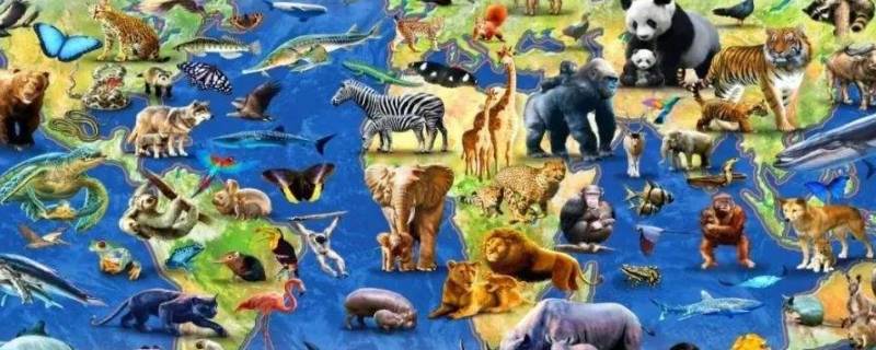 生物之间的关系有哪些