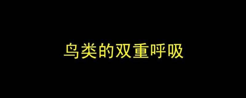 鸟的呼吸方式称为什么