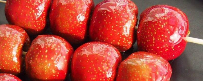 糖葫芦不化糖的原料有哪几种